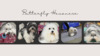 Theme